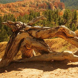 Utah itinerary, Sunset Point