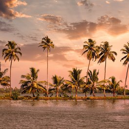 Kumarakom, Kerala Photo #2 by munnarholiday from pixabay