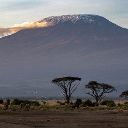 Amboseli National Park, Kenya Photo #3 by herbert2512 from pixabay