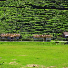 Munnar, Kerala Photo #9 by devalokamktm from pixabay