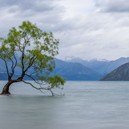 Lake Wānaka, New Zealand Photo #5 by AnetFou from pixabay