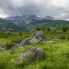 Bulgaria itinerary, Vitosha