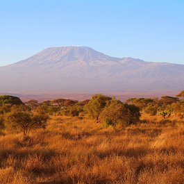 Amboseli National Park, Kenya Photo #9 by Jonny_Joka from pixabay
