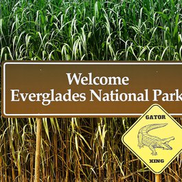 Everglades, Florida Photo #1 by pixel2013 from pixabay