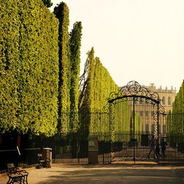 Schönbrunn Palace, Vienna Photo #8 by mimikama from pixabay