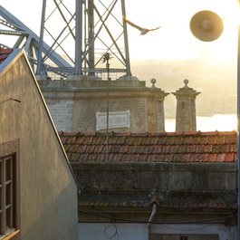 Ribeira, Porto Photo #3 by franky1st from pixabay