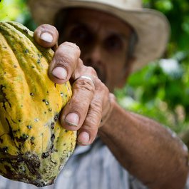 Colombia, Colombia Photo #7 by eliasfalla from pixabay