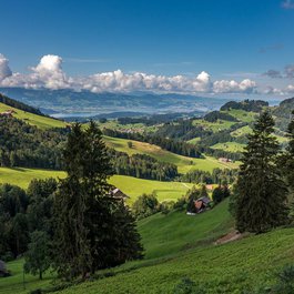 Lake Zurich, Zürich Photo #8 by Sonyuser from pixabay