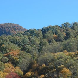 Blue Ridge, North Carolina Photo #8 by dbyers0209 from pixabay