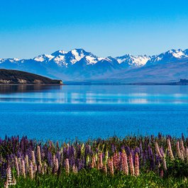 Lake Tekapo, South Island Photo #4 by rana88888 from pixabay