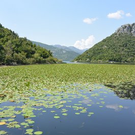 Lake Skadar, Montenegro Photo #4 by linn17 from pixabay