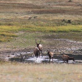 Rocky Mountain National Park itinerary, Estes Park