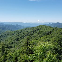 Blue Ridge, North Carolina Photo #6 by egowkand from pixabay