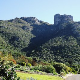 Kirstenbosch National Botanical Garden, Cape Town Photo #4 by WhiskerFlowers from pixabay