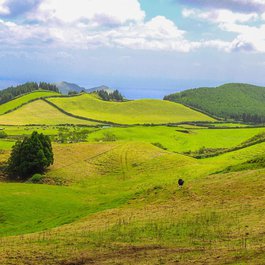 Azores, Portugal Photo #6 by ArgoImages from pixabay
