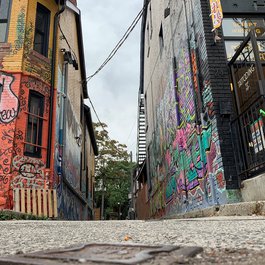 Graffiti Alley, Toronto Photo #1 by DrBarbPetVet1 from pixabay