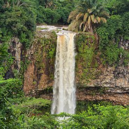 Chamarel, Mauritius Photo #5 by hhach from pixabay