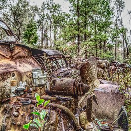 Tallahassee, Florida Photo #3 by matt_staehle from pixabay