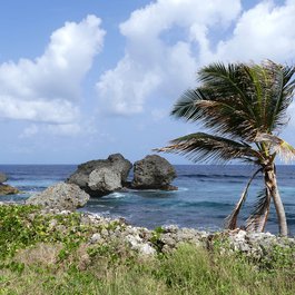 Grenada, Grenada Photo #6 by falco from pixabay