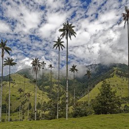 Colombia, Colombia Photo #4 by Makalu from pixabay