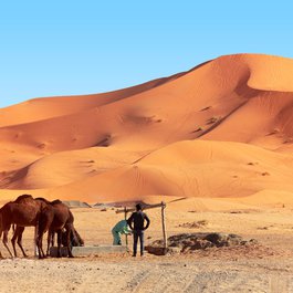 Erg Chebbi, Morocco Photo #9 by pixelRaw from pixabay