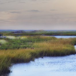 Martha's Vineyard, Massachusetts Photo #1 by D_Theodora from pixabay