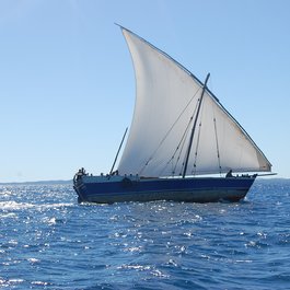 Nosy Be, Madagascar Photo #3 by RoxyBollero from pixabay