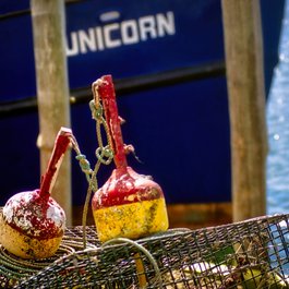 Martha's Vineyard, Massachusetts Photo #9 by D_Theodora from pixabay
