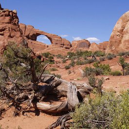 Moab, Arches National Park Photo #6 by ArtTower from pixabay
