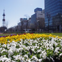 Sapporo Ōdōri Park, Sapporo Photo #4 by May_hokkaido from pixabay