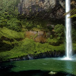New Zealand, New Zealand Photo #8 by Holgi from pixabay