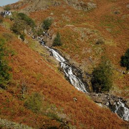 Grasmere, Lake District Photo #5 by Meatle from pixabay