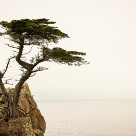 Carmel Beach, Monterey Photo #3 by Wallula from pixabay
