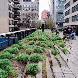 The High Line, New York Photo #8 by Shire777 from pixabay