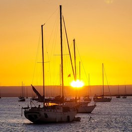 Baja California, Mexico Photo #8 by flaminilee from pixabay