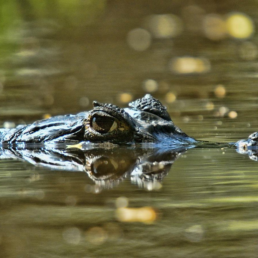 Orinoco, Venezuela