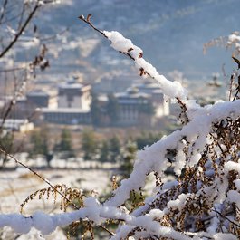 Thimphu, Bhutan Photo #8 by pgyamtsho from pixabay