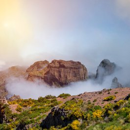 Madeira, Portugal Photo #6 by pixelRaw from pixabay