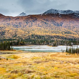 Xinjiang, China Photo #6 by cowins from pixabay