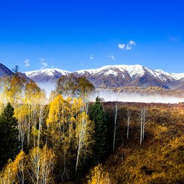 Xinjiang, China Photo #7 by cowins from pixabay