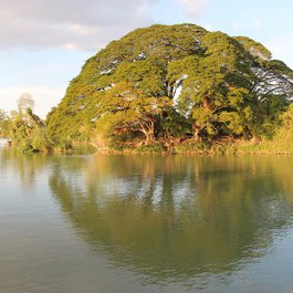 Don Det, Laos Photo #3 by babalaos from pixabay