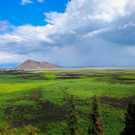 Lake Skadar, Montenegro Photo #5 by mujohh from pixabay
