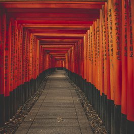 Fushimi Inari Taisha, Kyoto Photo #6 by sontran78 from pixabay