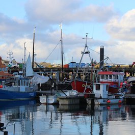 Cornwall itinerary, Newlyn