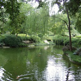 Fort Worth Botanic Garden, Fort Worth Photo #2 by BreaLeaDesigns from pixabay