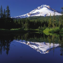 Mount Hood, Oregon Photo #1 by 12019 from pixabay