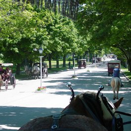 Mackinac Island, Michigan Photo #1 by Steppinstars from pixabay