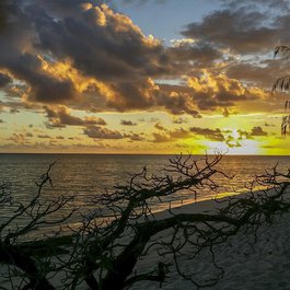Great Barrier Reef, Australia Photo #8 by ArtTower from pixabay