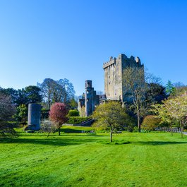 Blarney Castle, Cork Photo #1 by mutantmommy from pixabay