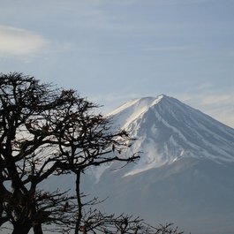 Honshu, Japan Photo #4 by patrik671 from pixabay
